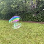 IMG_2741